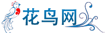 虎皮鹦鹉
